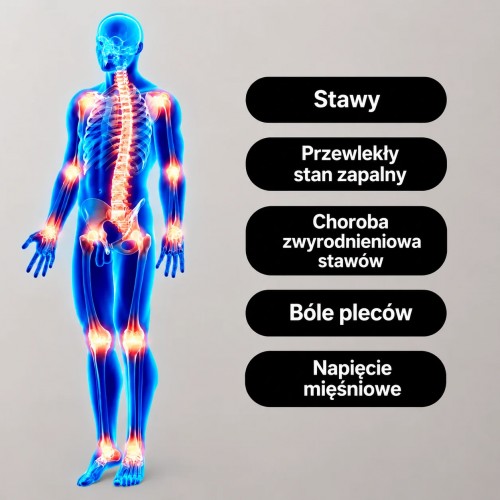 ZESTAW 4 ŻELI Z CZARCIM PAZUREM NA STAWY I MIĘŚNIE + PREZENT GRATIS!
