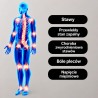 ZESTAW 4 ŻELI Z CZARCIM PAZUREM NA STAWY I MIĘŚNIE + PREZENT GRATIS!